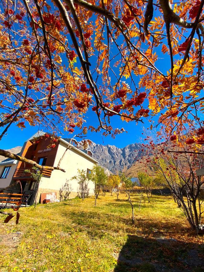 Villa Kazbegi Exteriér fotografie